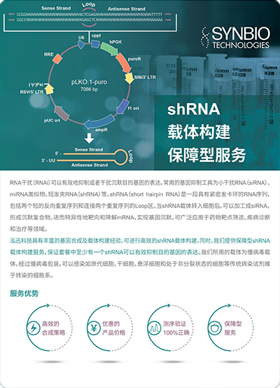 shRNA載體構(gòu)建保障型服務