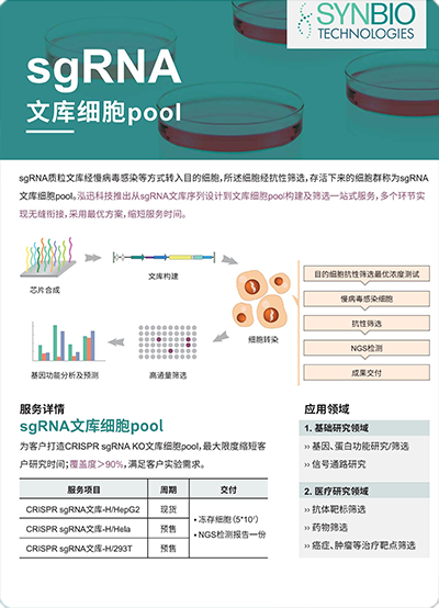 sgRNA文庫細胞pool