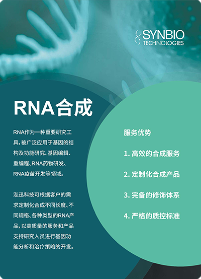 RNA合成