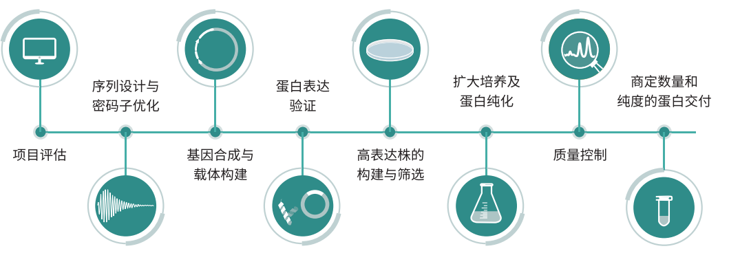 人全長重組膠原蛋白服務流程