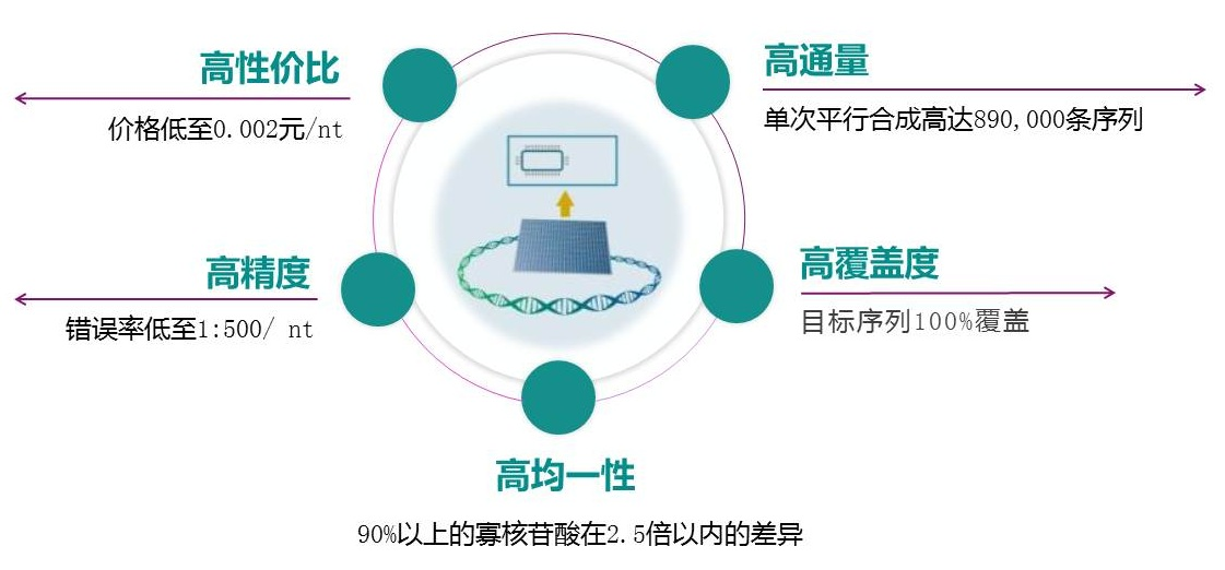 引物池（Oligo Pool）的優(yōu)勢