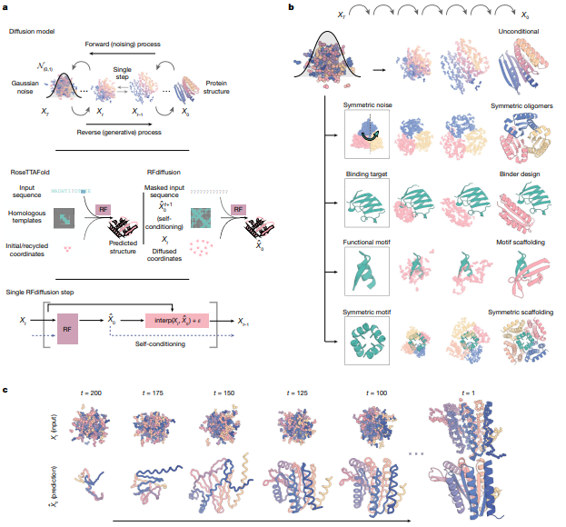 利用RFdiffusion設計蛋白質(zhì)